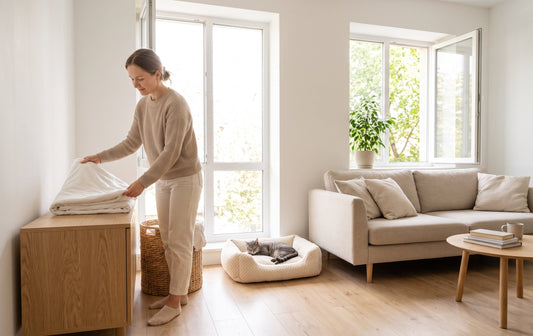 How to Manage Pet Odors in a Small Apartment