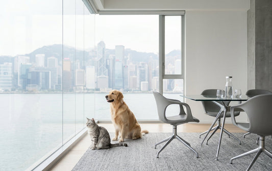 Hong Kong Pet Care Brand for Overseas Wholesale Buyers | AJ PETSMATE